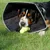 Produktbild 3 för All Four Paws Hundkrage Comfy Cone S 14 cm svart