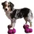 Produktbild för FitPAWS Balansplatta för husdjur Mini K9FITbone 2-pack 29x16,5x6 cm