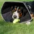 Produktbild 4 för All Four Paws Djurkrage Comfy Cone XXL 37,5 cm svart