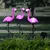 Produktbild för HI Soldriven LED trädgårdsflamingo 3 st