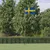 Produktbild för Sveriges flagga med flaggstång 5,55 m aluminium